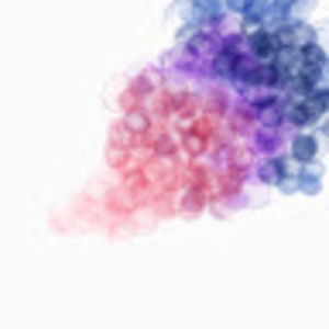 Meet your Posher, Joyce